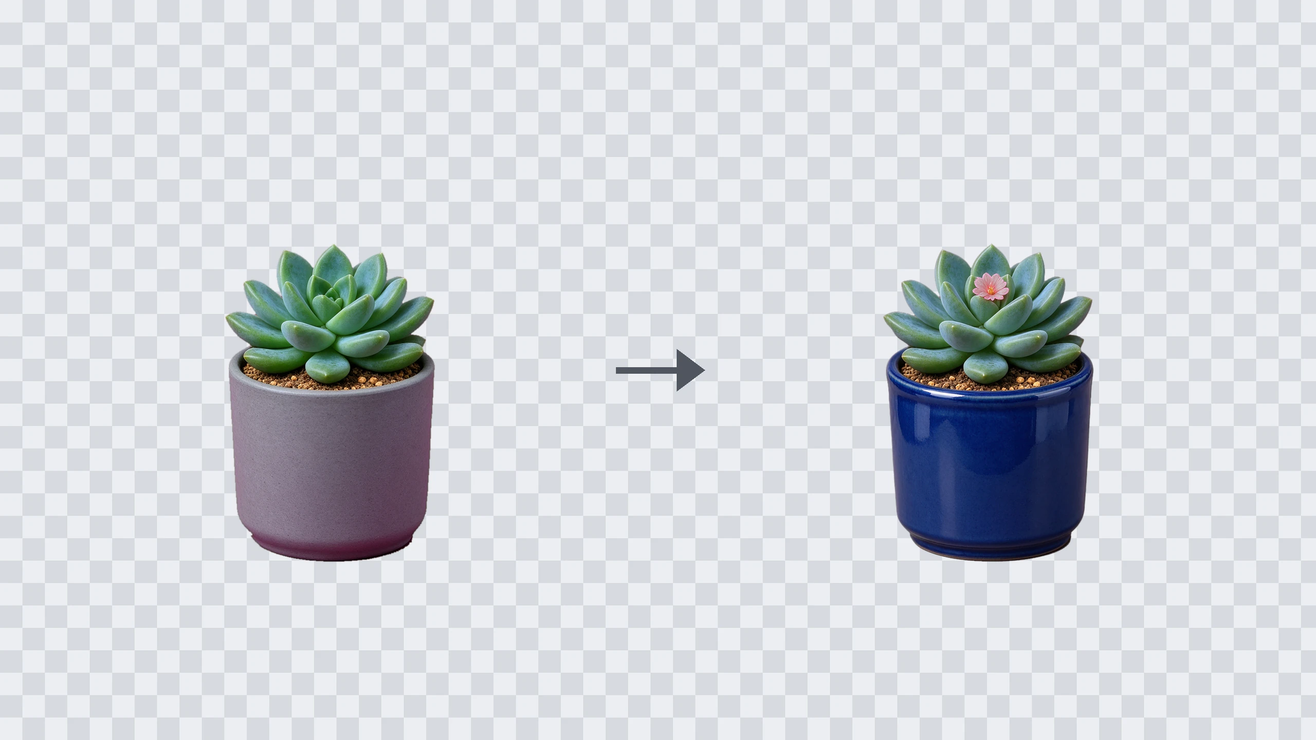 Edit cutouts without losing transparency