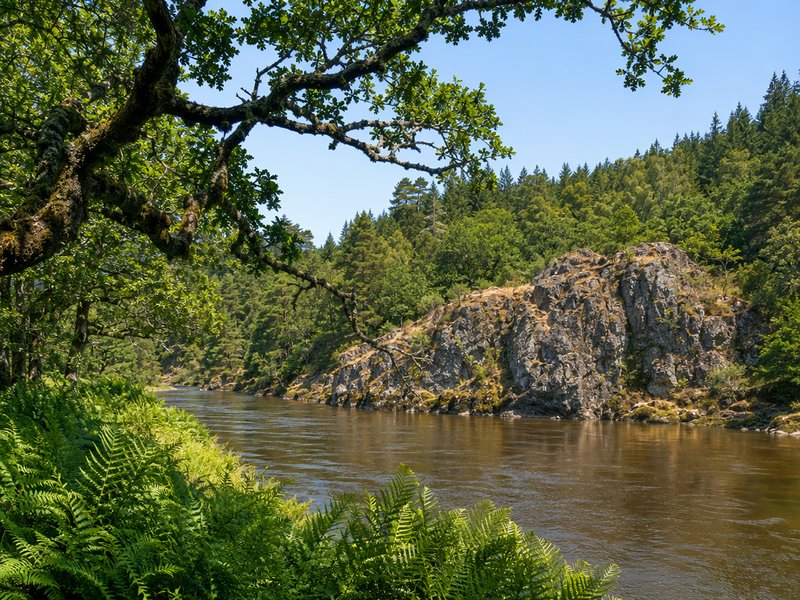 Framed summer view of a calm forest river, rocky cliff, and dense green woodland under clear bright blue sky