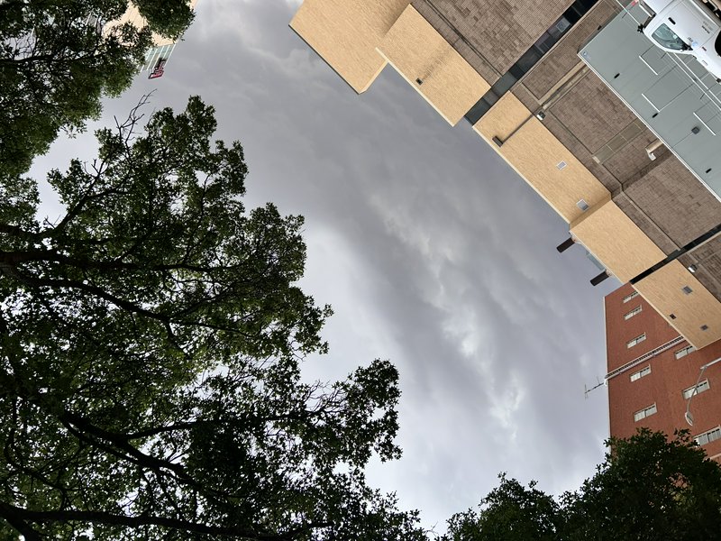 Urban buildings with red and beige brick walls beside lush trees under a cloudy sky.