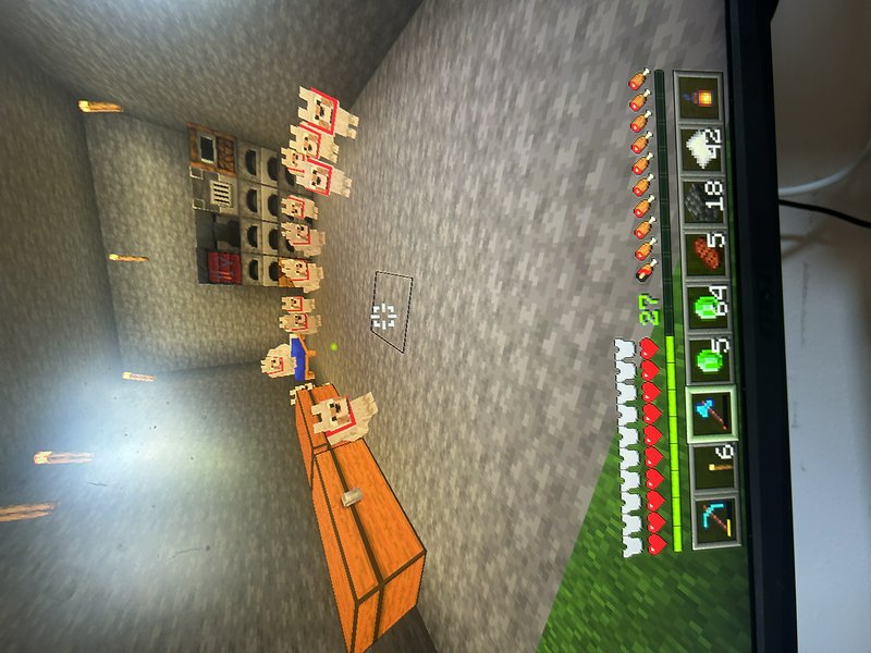 Photo of a monitor displaying Minecraft, showing a row of tamed red-collared wolves inside a cobb...