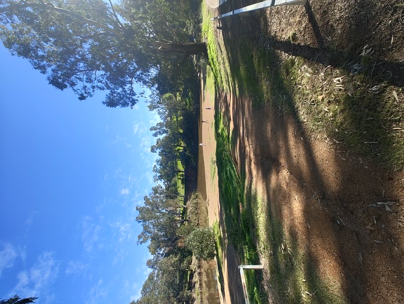 Sunlit park scene with a dirt path, trees, and grassy areas under a clear blue sky.