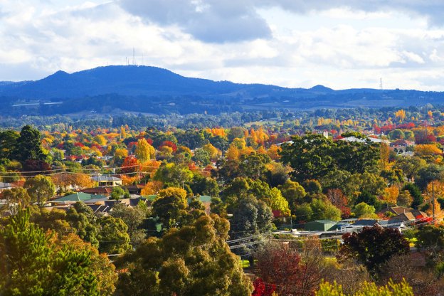 High-angle aerial view of an autumn suburban town, colorful fall foliage, distant blue mountains ...