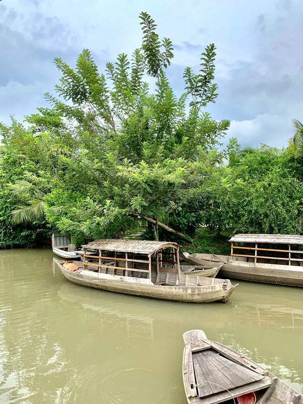 Traditional thatched-roof wooden river boats moored along a lush tropical riverbank under a soft ...