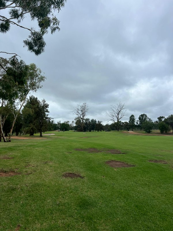 Overcast view of a tree-lined golf course fairway with lush green turf and scattered bare dirt pa...