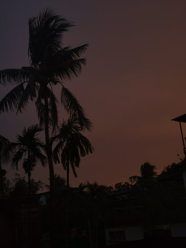 Silhouetted palm trees against a dusky orange sunset sky.