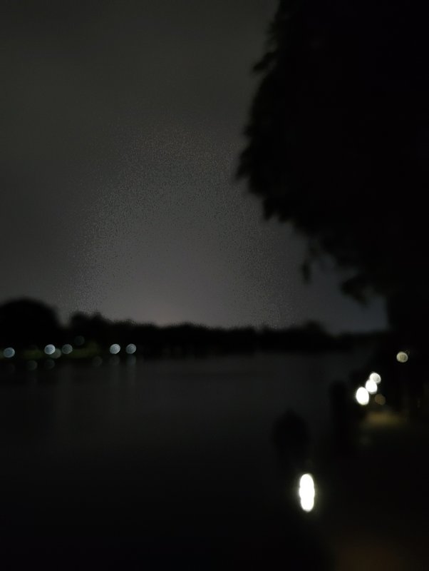 Bokeh night lakeshore view: silhouetted trees