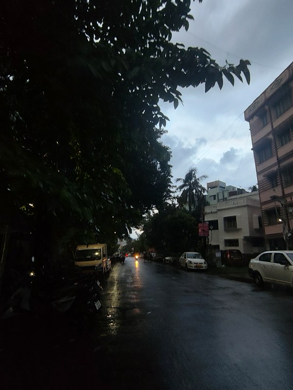 Wet residential urban street at overcast dusk, glistening with rain, lined with parked cars, tree...