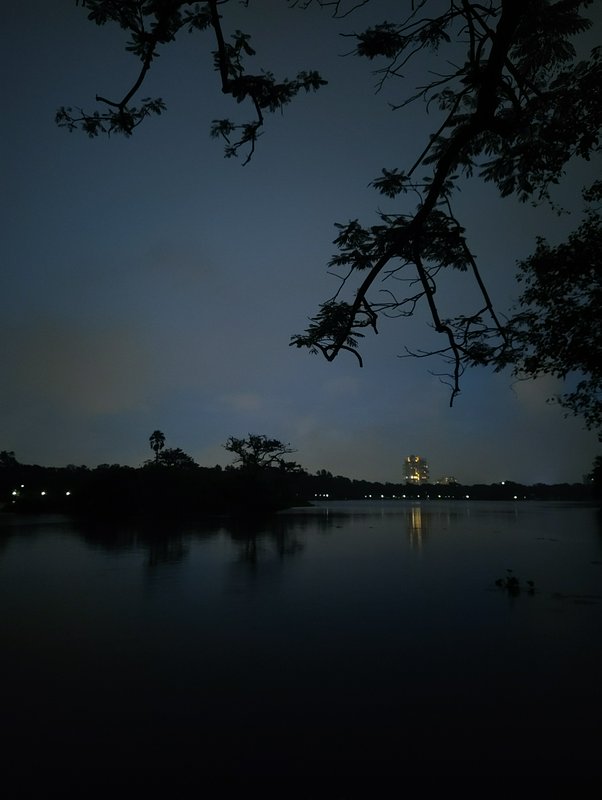 Silhouetted tree branches frame a calm twilight lake, with distant shore lights reflecting on sti...