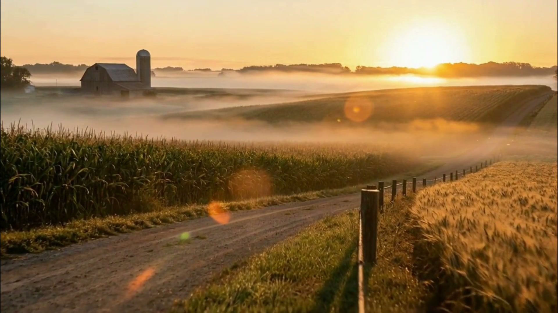 Misty midwest farm at golden sunrise, featuring a wooden barn, silo, cornfields, and fence-lined ...