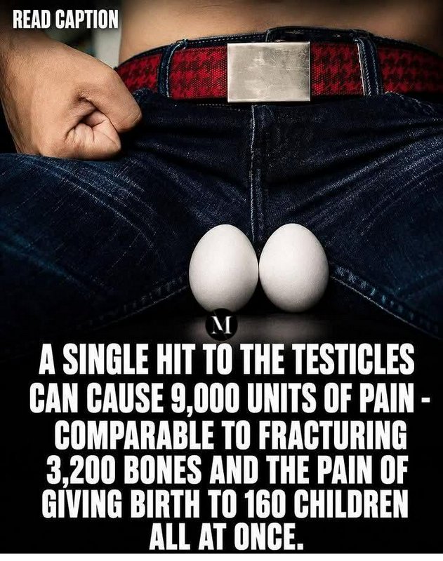 Humorous meme showing eggs placed at jeans fly as a visual gag for a satirical testicular pain fact.