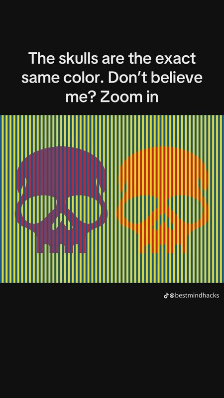 Color optical illusion graphic with two skulls on vertical striped background, text states both s...