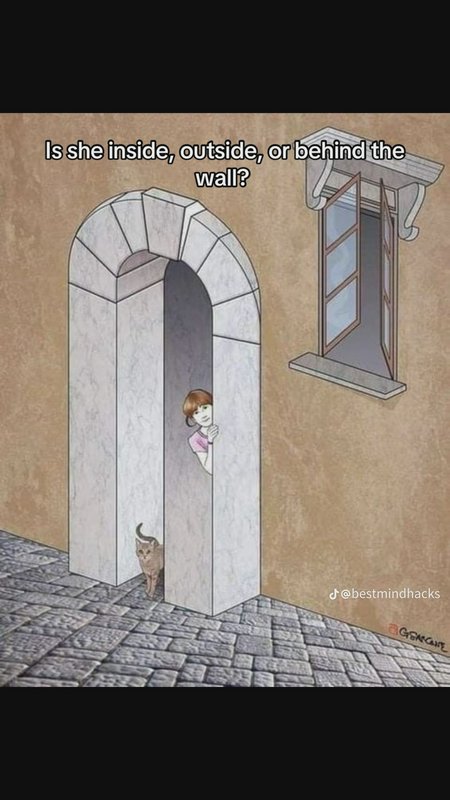 Surreal optical illusion drawing of impossible arched doorway, peeking girl, cat, text asking abo...