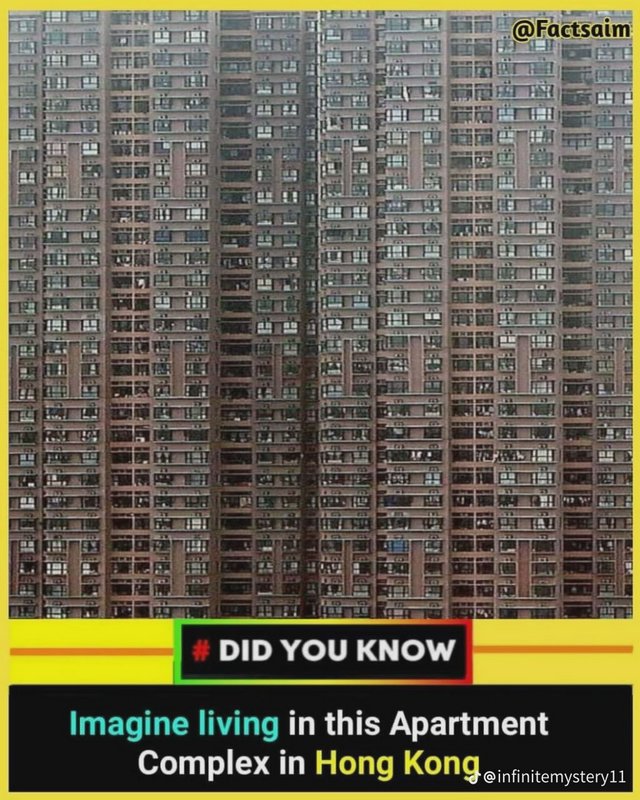 Infographic of densely packed towering Hong Kong high-rise apartment complex with 'Did You Know' ...