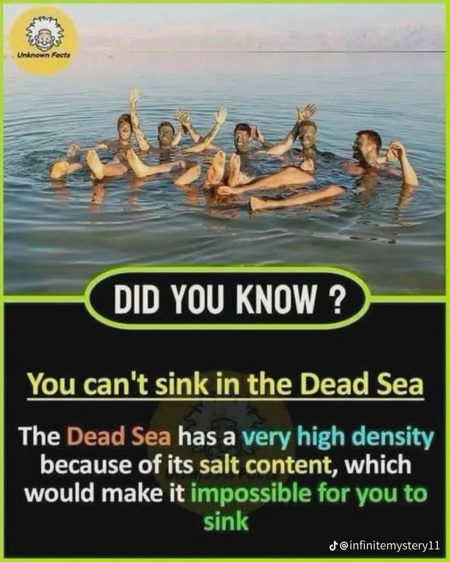 Infographic showing people floating in the Dead Sea, with text explaining high salt density preve...