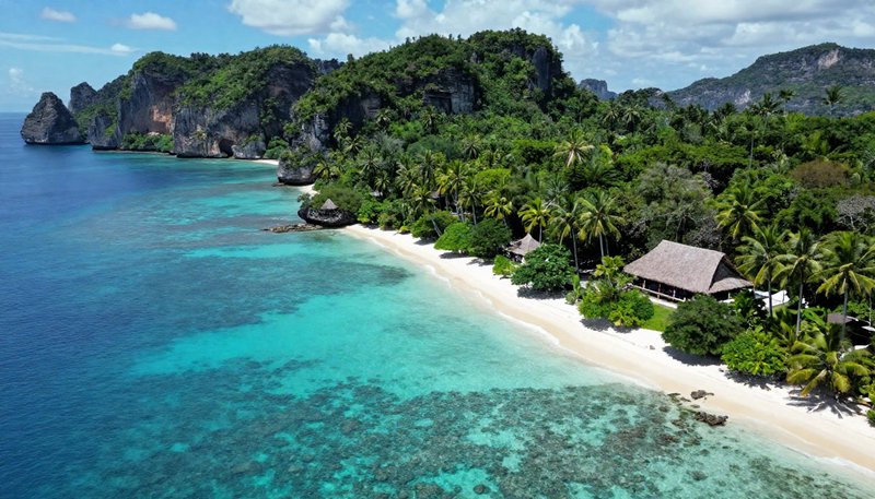 Aerial view of secluded tropical beach with thatched bungalows, turquoise coral lagoon, lush jung...