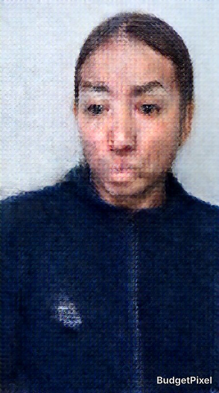 Textured pixelated bust portrait of a person with pulled-back dark hair in a dark zip jacket agai...