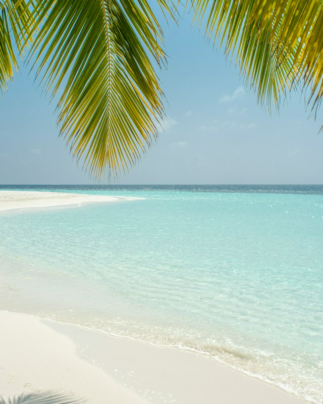 Overhanging palm fronds frame a secluded tropical beach with bright white sand and clear turquois...