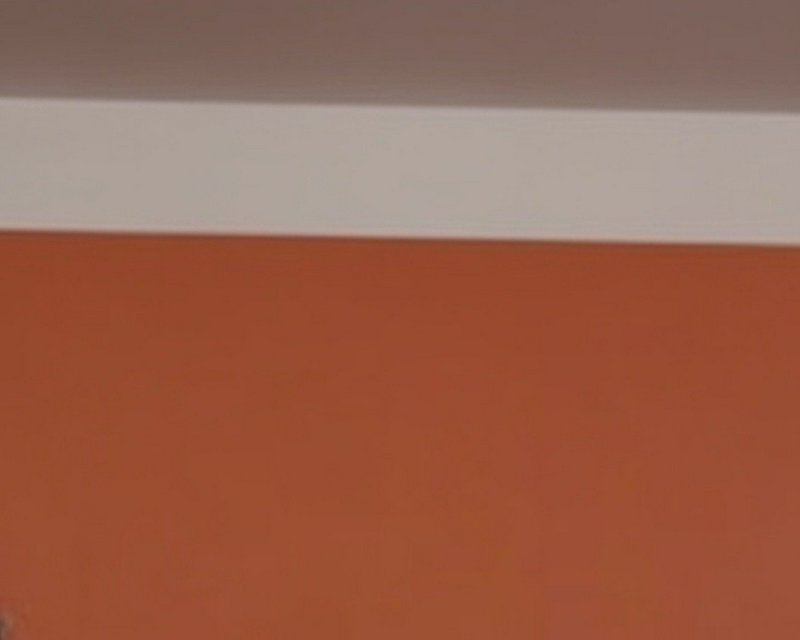 Close up room corner view with terracotta wall, white crown molding trim, and muted warm brown ce...