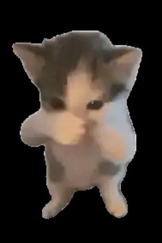 Low-res cute standing dancing gray and white kitten meme isolated on solid black background