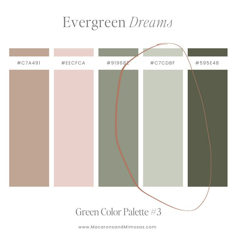 Evergreen Dreams muted earth-tone color palette swatches with hex codes for design and home decor...