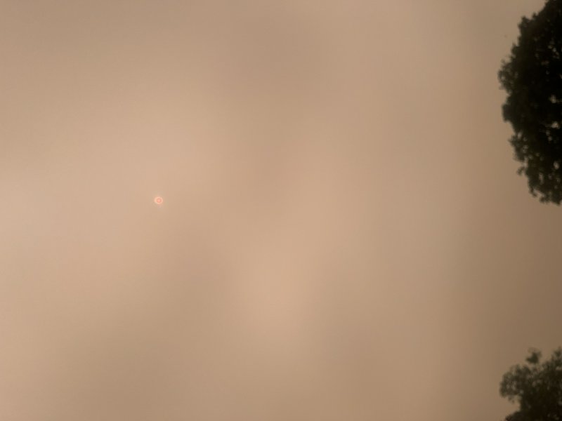 Faint reddish sun visible through thick hazy smoky tan sky, dark tree silhouettes line the right ...