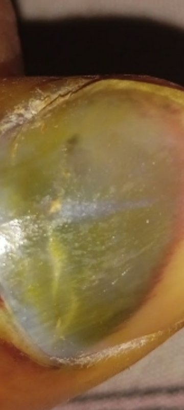 Extreme macro close-up of a translucent banded yellow-green agate held between fingertips