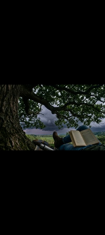 POV view of person reclining under an oak tree with an open book, overlooking rolling countryside...