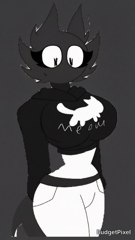 [Cute monochrome anthro cat girl character in a cat print cropped hoodie, standing against a solid dark gray background]