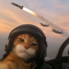 Orange tabby cat in pilot helmet takes cockpit selfie, with fighter jets and launched missile aga...