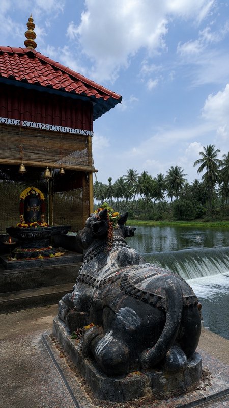 Garlanded black stone Nandi statue facing a riverside South Indian Hindu shrine beside a cascadin...