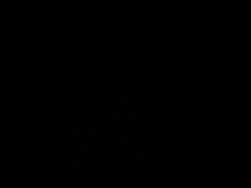 Solid black image with no visible subjects or details