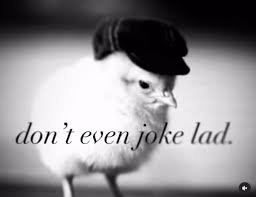Black and white meme of a stern baby chick wearing a flat cap, overlaid with text reading "don't ...