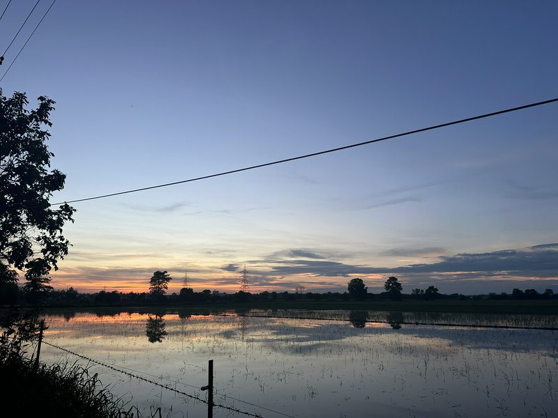 Silhouetted rural dusk landscape of a flooded rice paddy reflecting soft gradient sunset sky, wit...