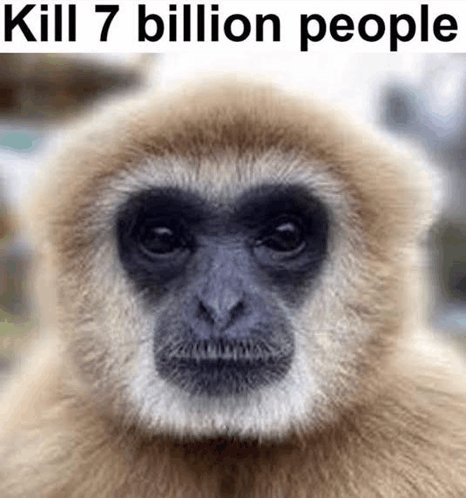 Deadpan lar gibbon meme with bold top text reading "Kill 7 billion people" over the primate's una...