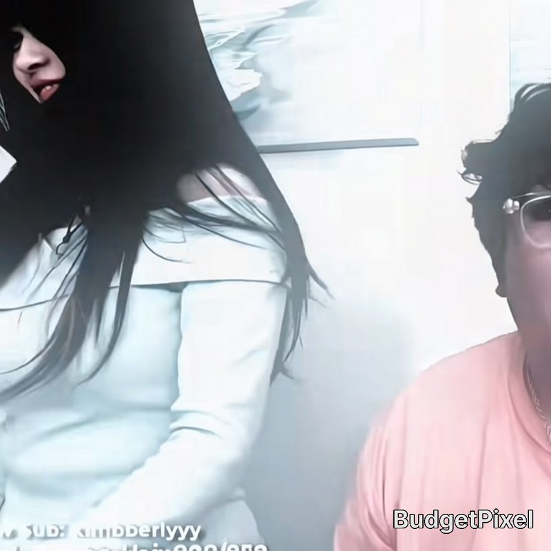Livestream screenshot of streamer BudgetPixel positioned next to an uncanny, glitchy long-haired ...