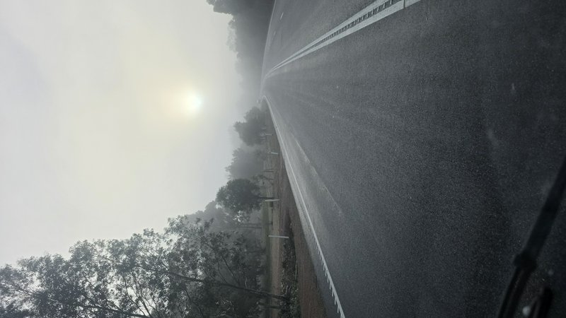 First person view of a fog-shrouded winding asphalt road lined with trees, sun glowing through thick morning mist.