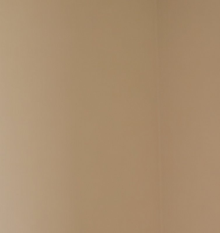 Uniform smooth matte warm taupe solid background, soft light tan plain surface with faint vertica...