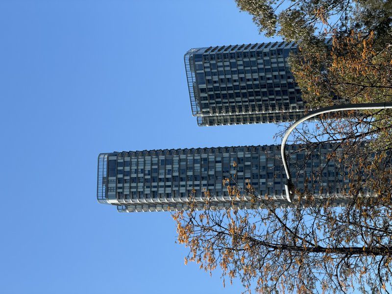 Low angle upward view of two curved modern high-rise towers against a clear blue sky with foregro...