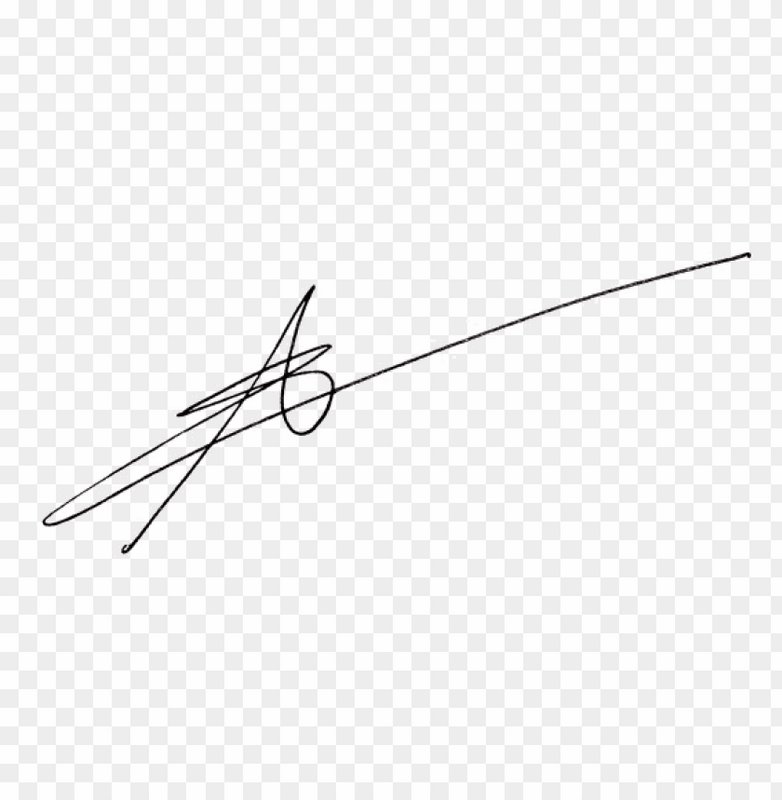 Black handwritten cursive signature with stylized initial and long diagonal sweep, isolated on tr...