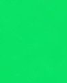 Solid uniform bright vivid lime green chroma key screen, seamless plain monochrome background wit...