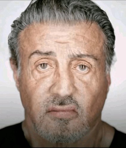 Close-up headshot portrait of Sylvester Stallone, showing gray slicked-back hair, stubble, and a ...
