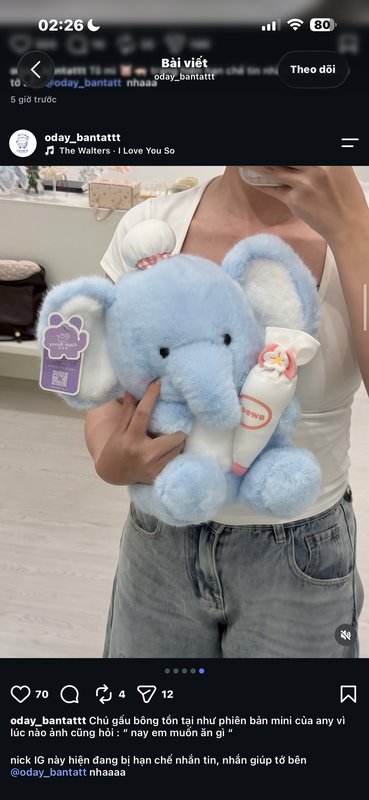 Person holding a fluffy pastel blue elephant stuffed plush toy, screenshot of a social media mirr...
