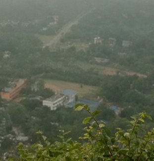 High-angle misty overlook of a forested hillside settlement, framed by leafy green foreground fol...