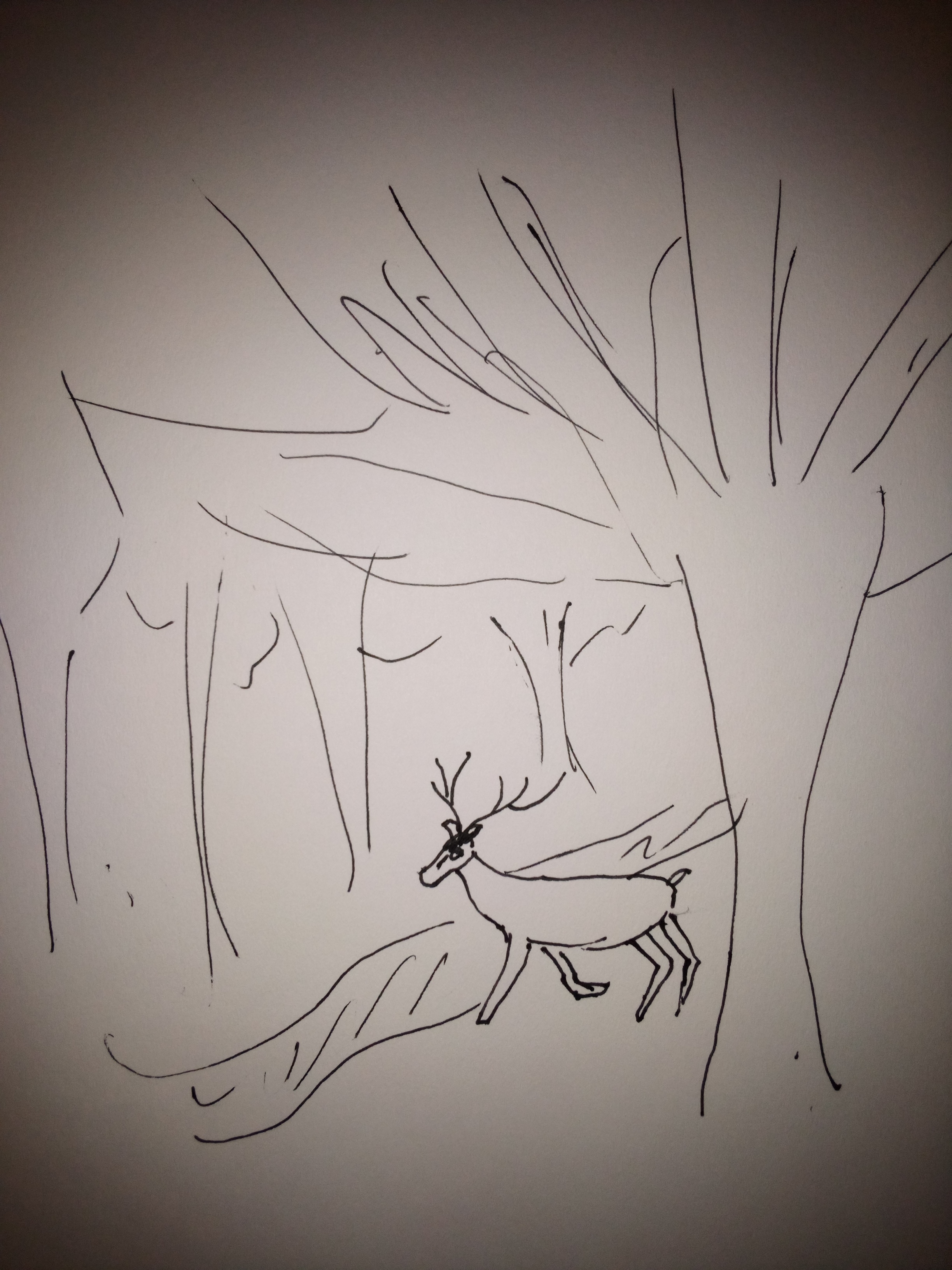 Simple line drawing of a deer in a forest with tall trees and a winding stream.