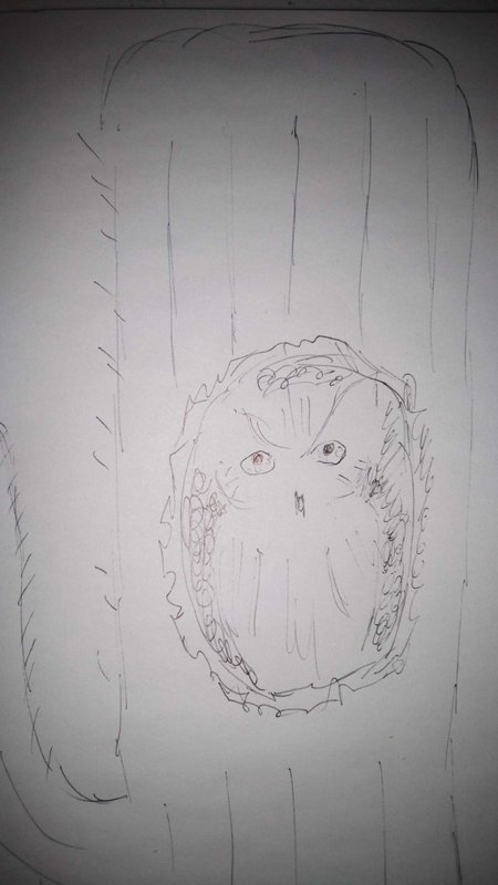 Loose pencil sketch of an owl peeking out from a hollow tree trunk