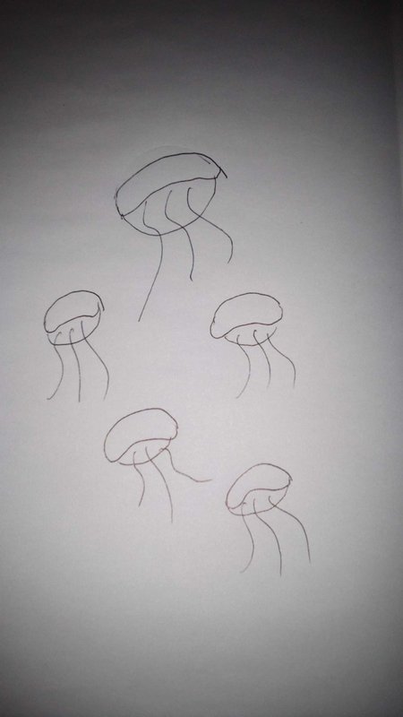 Simple hand-drawn line sketch of five floating jellyfish on plain white drawing paper