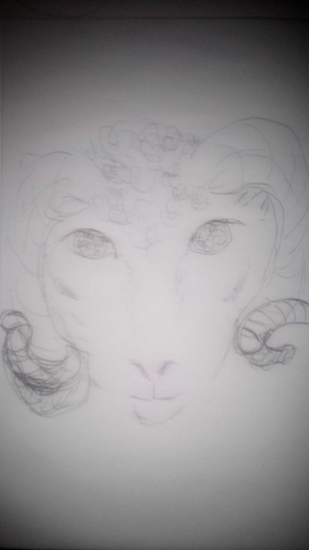Loose pencil sketch of a stylized ram head with curved spiral horns on plain drawing paper