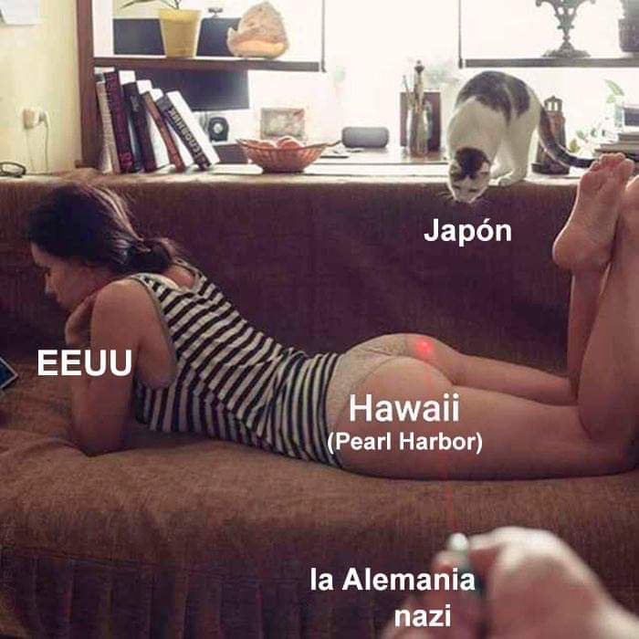 Person on a couch labeled “EEUU” with a cat and labeled country text including “Japón” and “Hawaii (Pearl