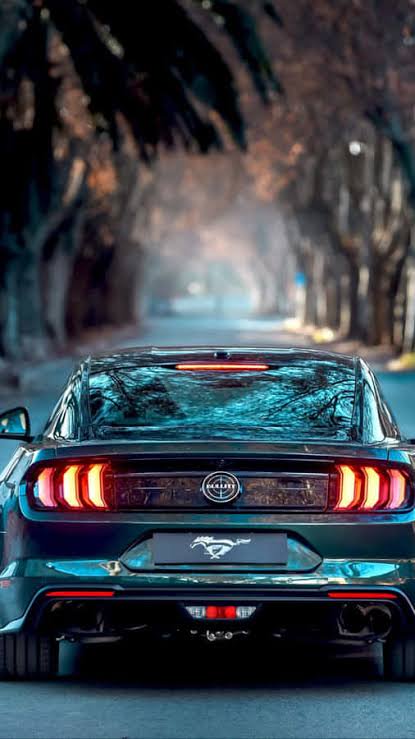 Rear view of a dark modified Ford Mustang with glowing LED taillights parked on a misty tree-line...