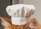 Dog wearing a white chef hat, cute culinary-themed pet photo
